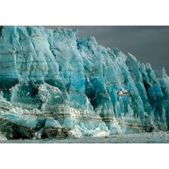 Puzzle 39731 National Geographic ledovec 1000 dílků