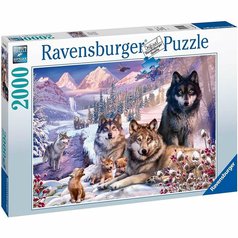 Puzzle 16012 Vlci na sněhu 2000 dílků