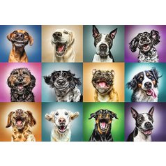 Puzzle 10462 Hravé psí úsměvy 1000 dílků
