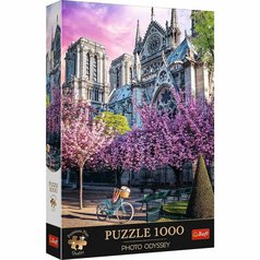 Puzzle 10858 Paříž, Katedrála Notre-Dame 1000 dílků