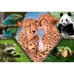 Puzzle 16424 Animal Planet 100 dílků